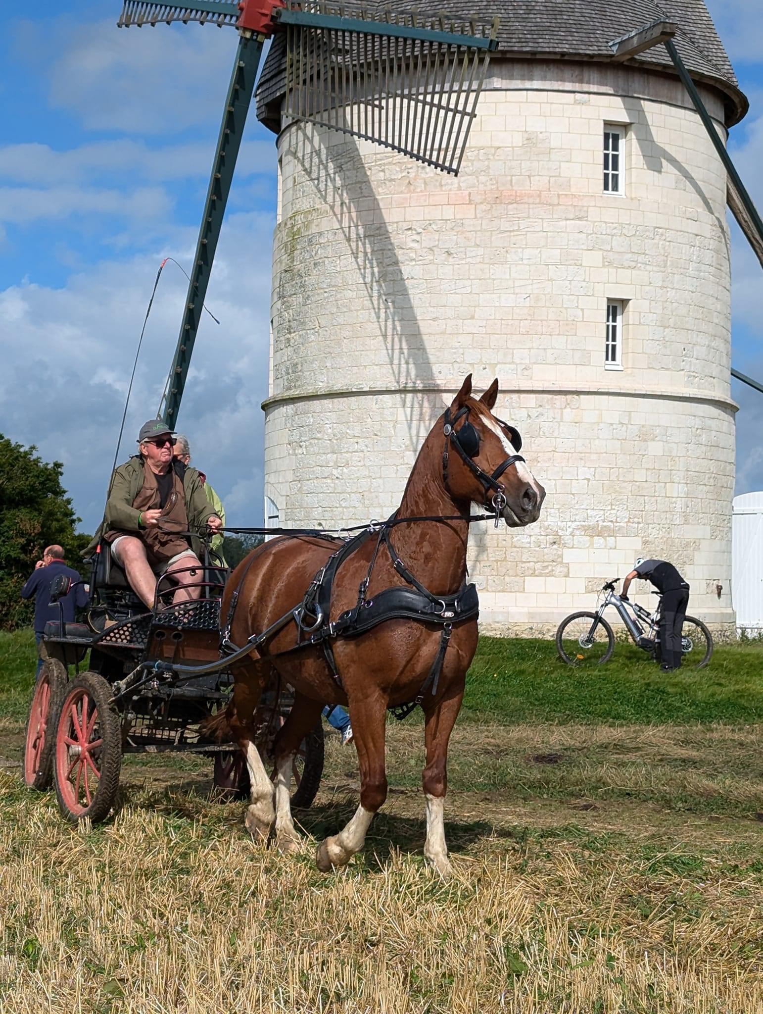 Les Cavaliers de St-Georges (3)