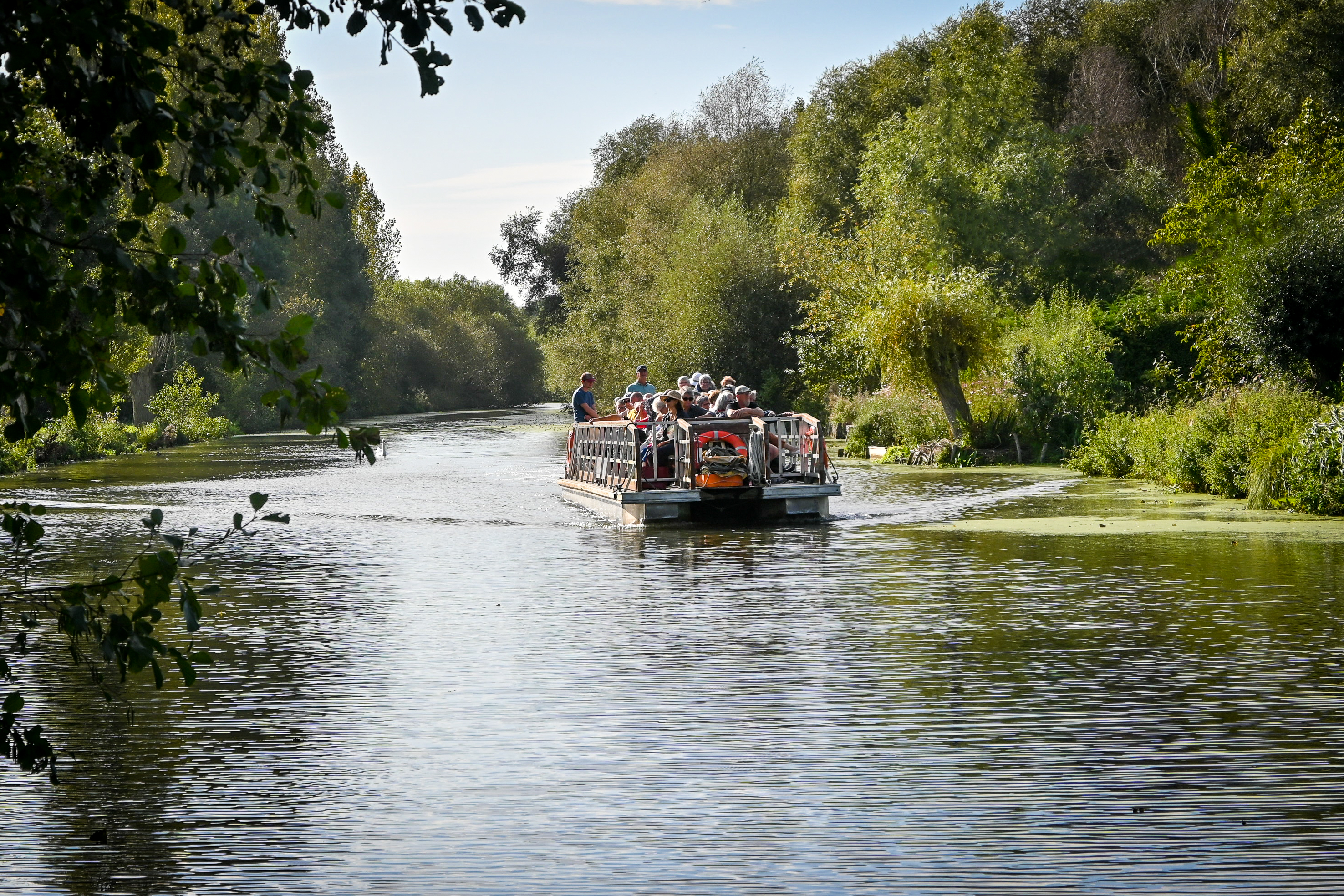 Bateau croisière - visite guidée Ô Marais by ISNOR Clairmarais 